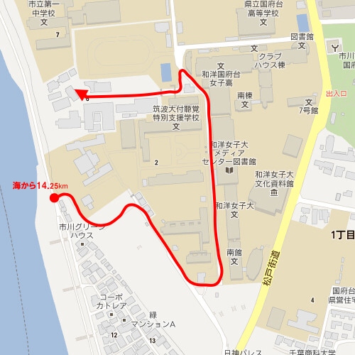 江戸川CR左岸から市川の赤レンガまでの道順