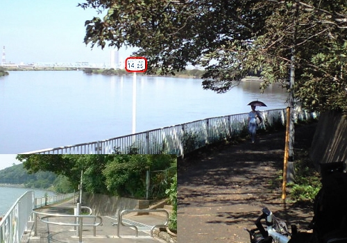 江戸川CR左岸 海から14.25km