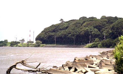 江戸川より国府台を望む(平成)