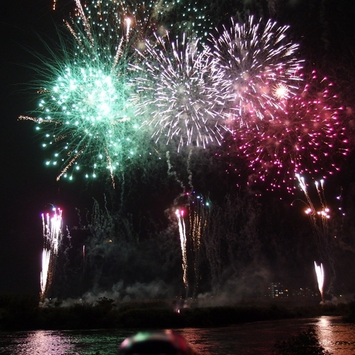 流山市花火大会2014.jpg