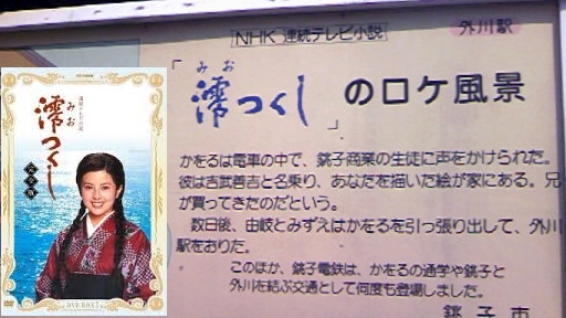 澪つくし(沢口靖子).jpg