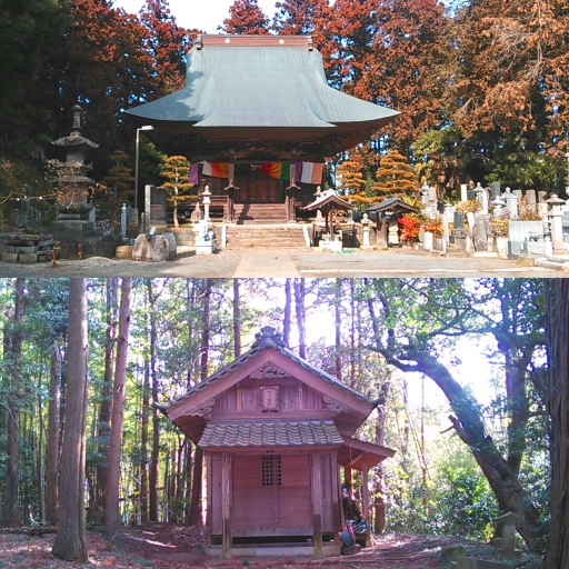 盛賢寺と琴平神社.jpg