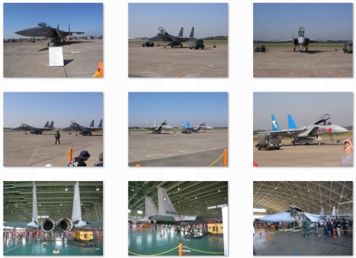 第305飛行隊(F-15J/DJ).jpg