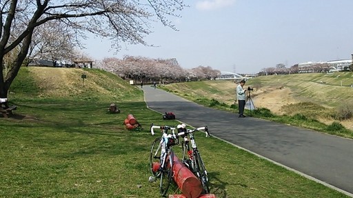 走りたくなる道(利根運河).jpg