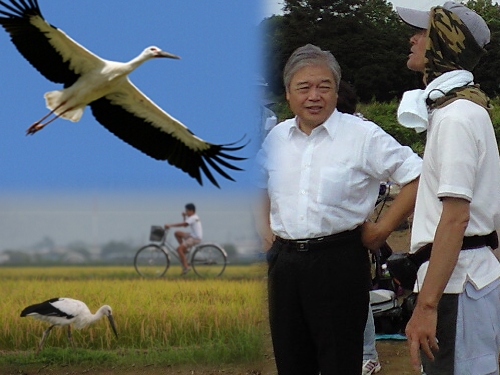 野田市長とコウノトリ放鳥計画