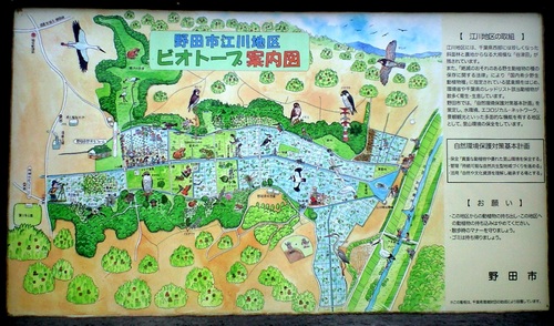 野田市江川地区ビオトープ