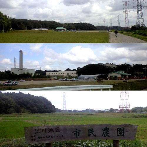 野田市自然共生ファーム(江川地区)
