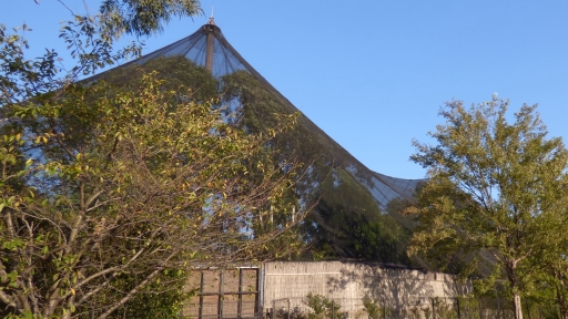 野鳥撮影の練習場.jpg