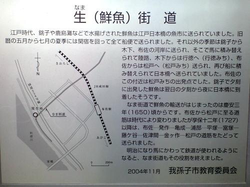鮮魚街道(我孫子市布佐)