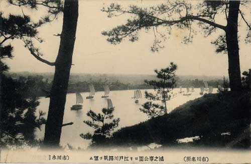 鴻之台公園より江戸川帰帆望む
