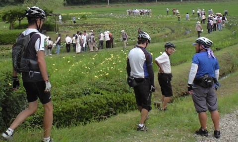 ayame_004.jpg