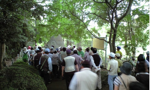 ayame_006.jpg