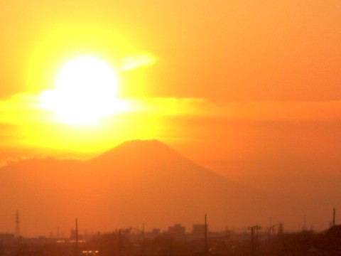 df_07122407.jpg