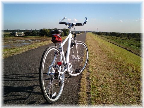 江戸川サイクリングロード