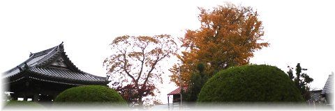 fukuseiji_02.jpg