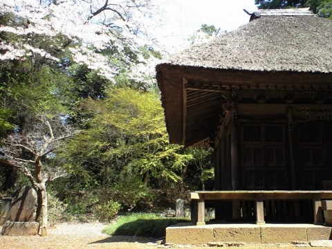 光堂