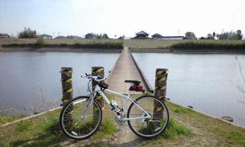 kokaigawa.jpg