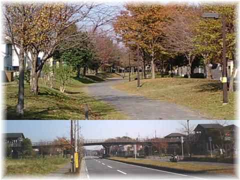 みずきの街