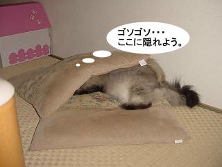 neko06.08.113.jpeg