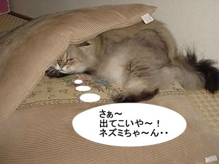 neko06.08.114.jpeg