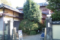 po0711233.jpg