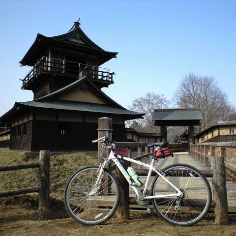 逆井城