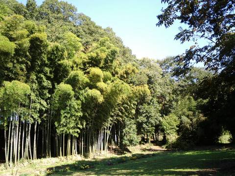 坂野家住宅02