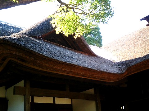坂野家住宅05
