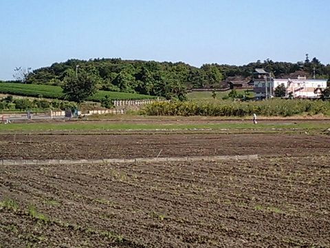 坂東市:逆井城01