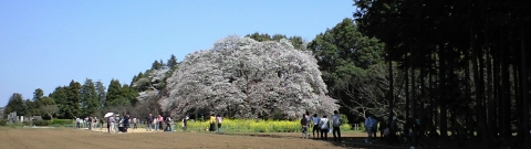 sp_yoshitaka360_002.jpg