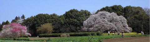 sp_yoshitaka360_003.jpg