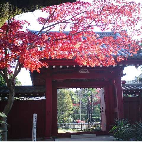 touhuku01.jpg