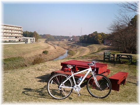 利根運河から理窓公園を望む
