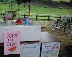 ungaii0821_02.jpg
