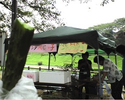 ungaii0821_03.jpg