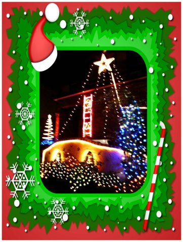 xmas2007.jpg