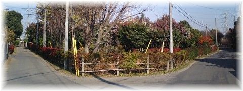 山崎の三叉路