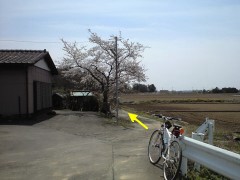 弘経寺への裏道