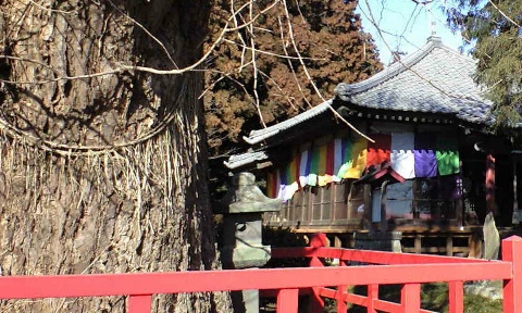 yuda_04.jpg